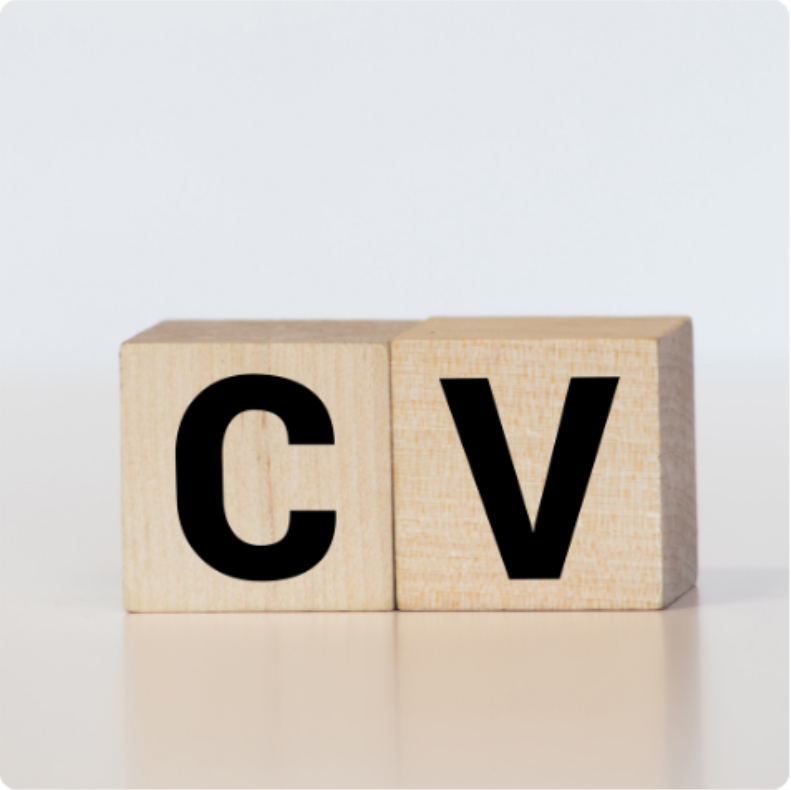 Professional CV Writing Service